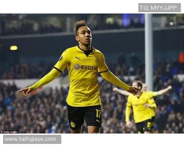 带杨的足球明星名字盘点与他们的辉煌成就与影响力分析